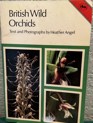 Item #12047 British Wild Orchids. Heather Angel