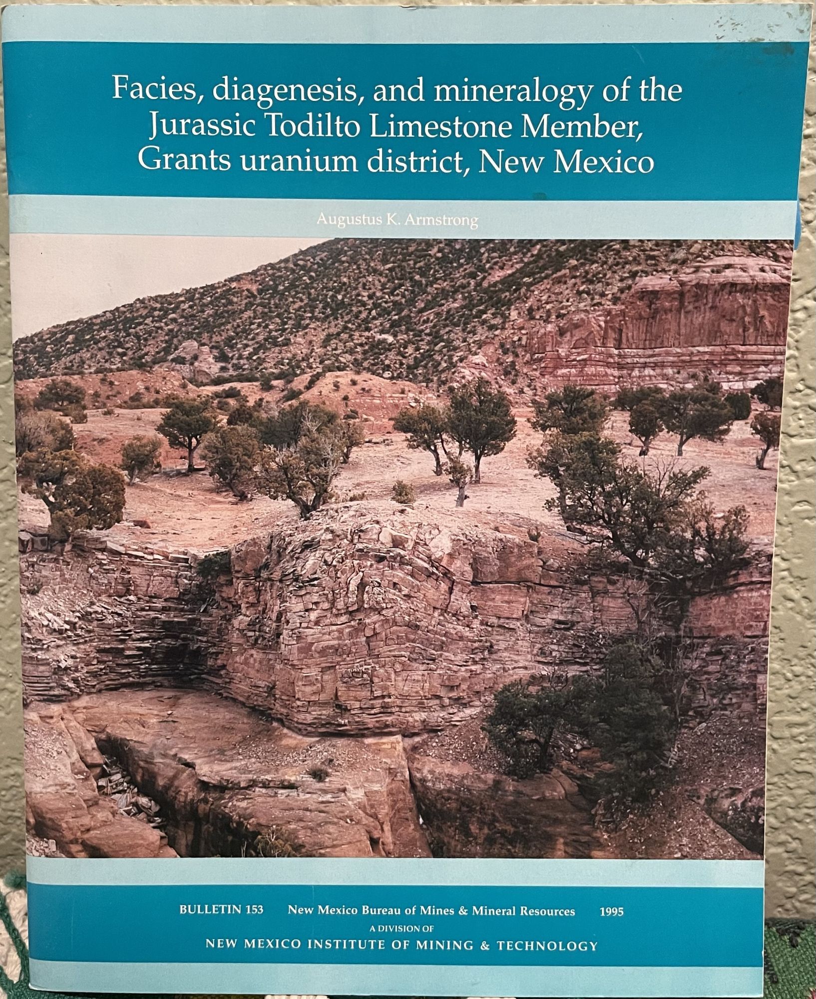 Facies, diagenesis, and mineralogy of the Jurassic Todilto Limestone Member, Grants uranium. Augustus K. Armstrong.