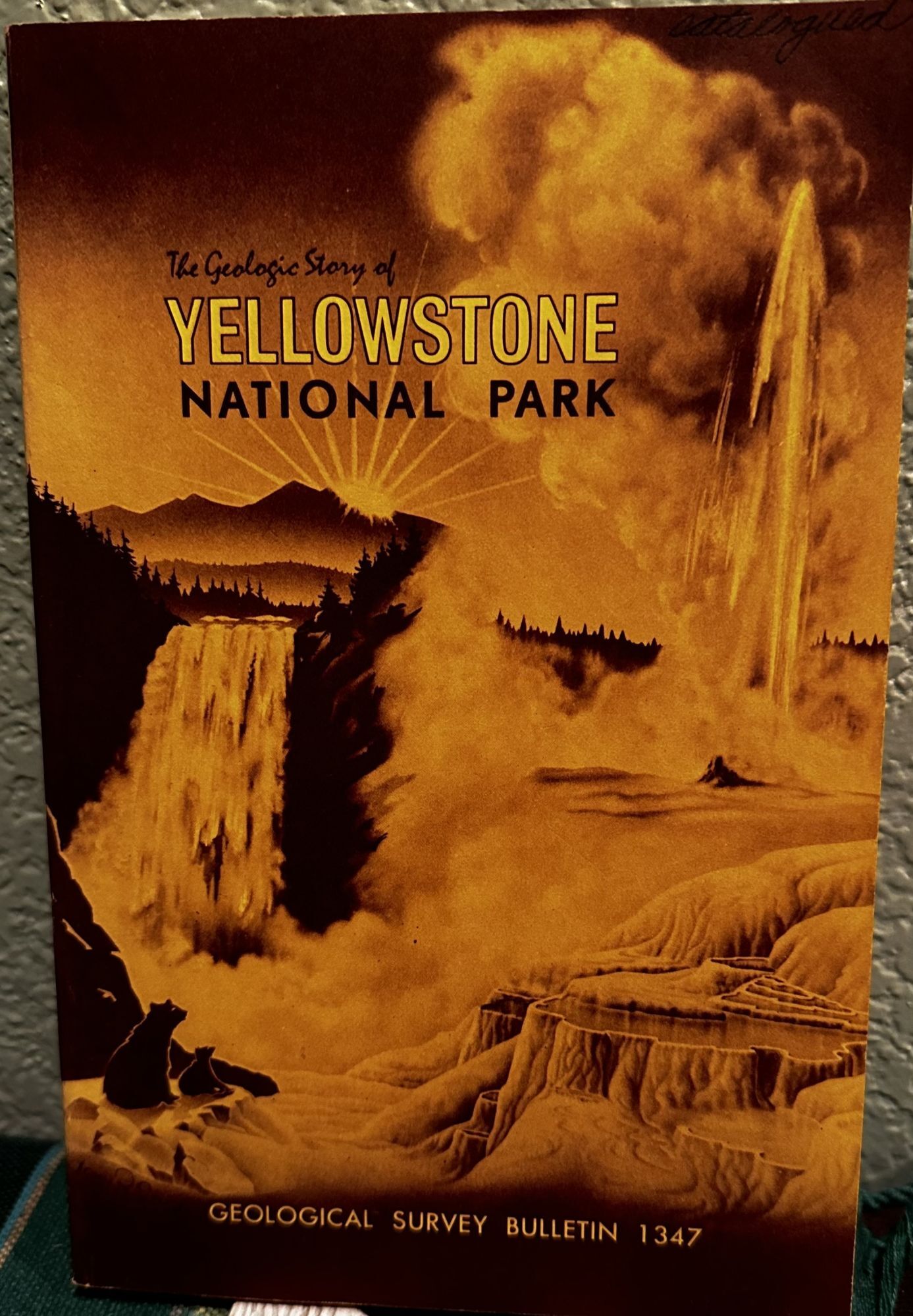 Placer gold deposits of New Mexico. M. G Johnson.