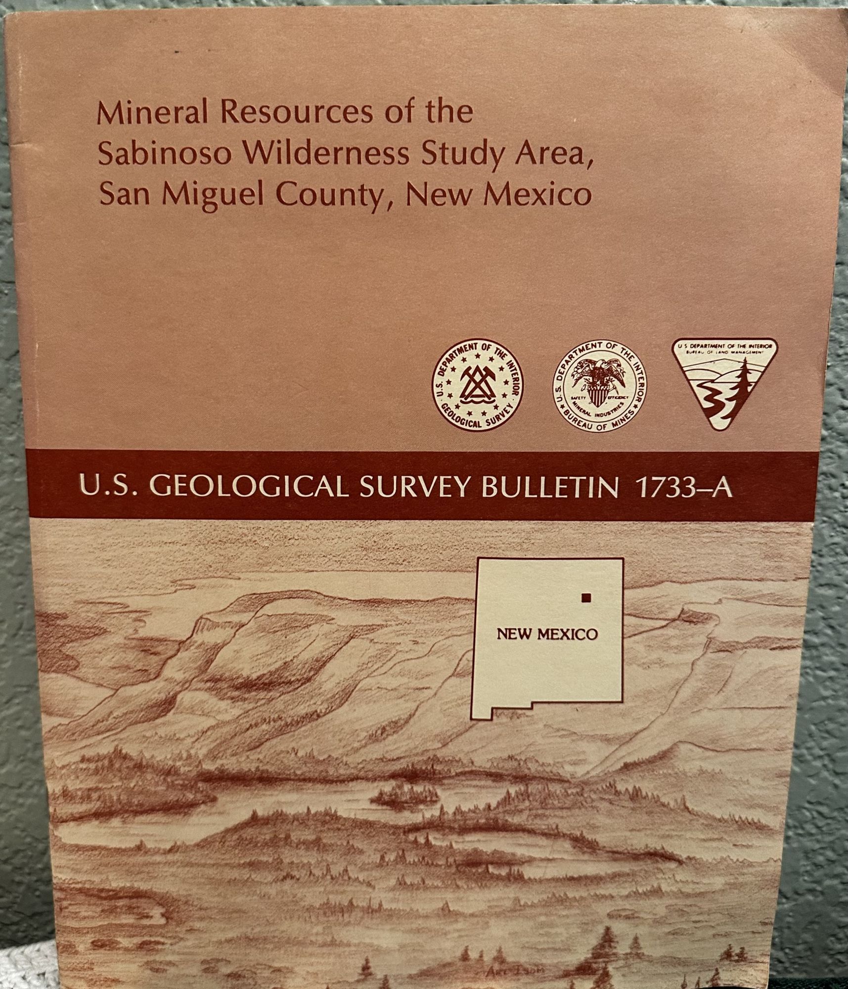 Mineral Resources of The Sabvinoso Wilderness Study Area, San Miguel County, New Mexico. A. M. Leibold.