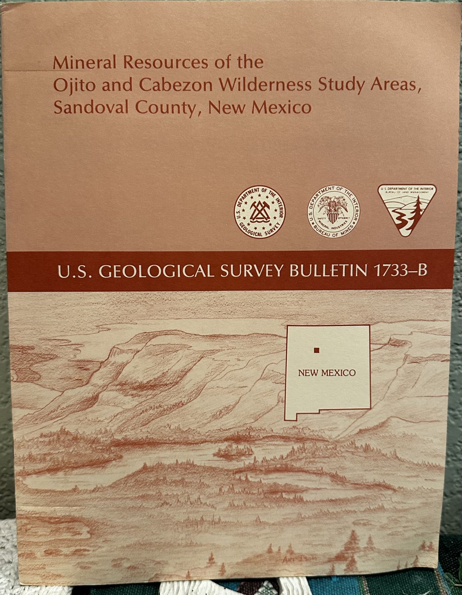 MINERAL RESOURCES OF THE OJITO & CABEZON WILDERNESS STUDY AREAS,SANDOVAL COUNTY,NEW MEXICO. S J. Soulliere.