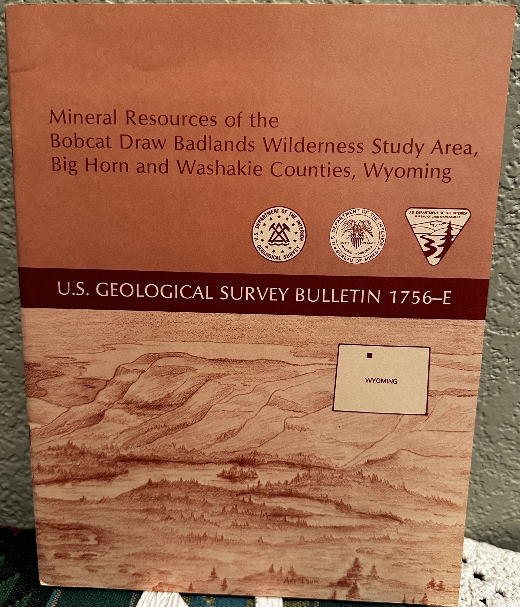 Mineral Resources of the Bobcat Draw Badlands Wilderness Study Area, Big Horn and Washakie. A. B. Gibbons.