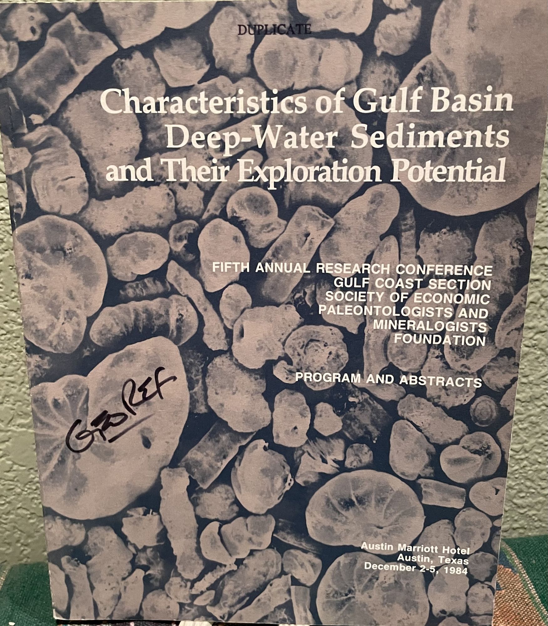 Characteristics of Gulf Basin Deep Water Sediments and Their Exploration Potential. Don Bebout.