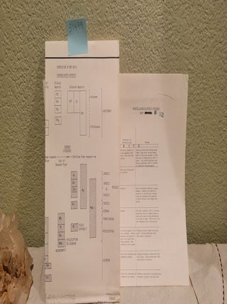 Item #31499 Preliminary Geologic Map of a Prospective Transportation Route from Prudhoe Bay,...