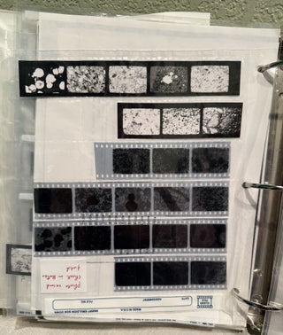Sedimentary Rock Hosted Au Deposits of the Dian-Qian-Gui area, Guizhou, and Yunnan Provinces, and Guangxi District, China