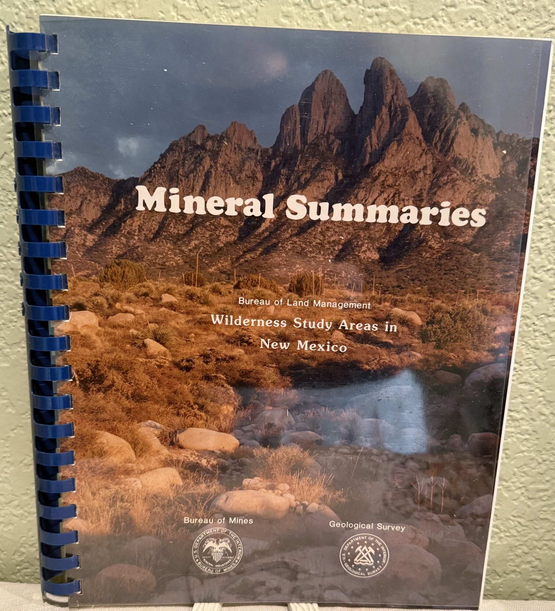 Mineral Summarires of Bureau Land Management Wilderness Study Areas in New Mexico. Intermountain Field Operations Center.