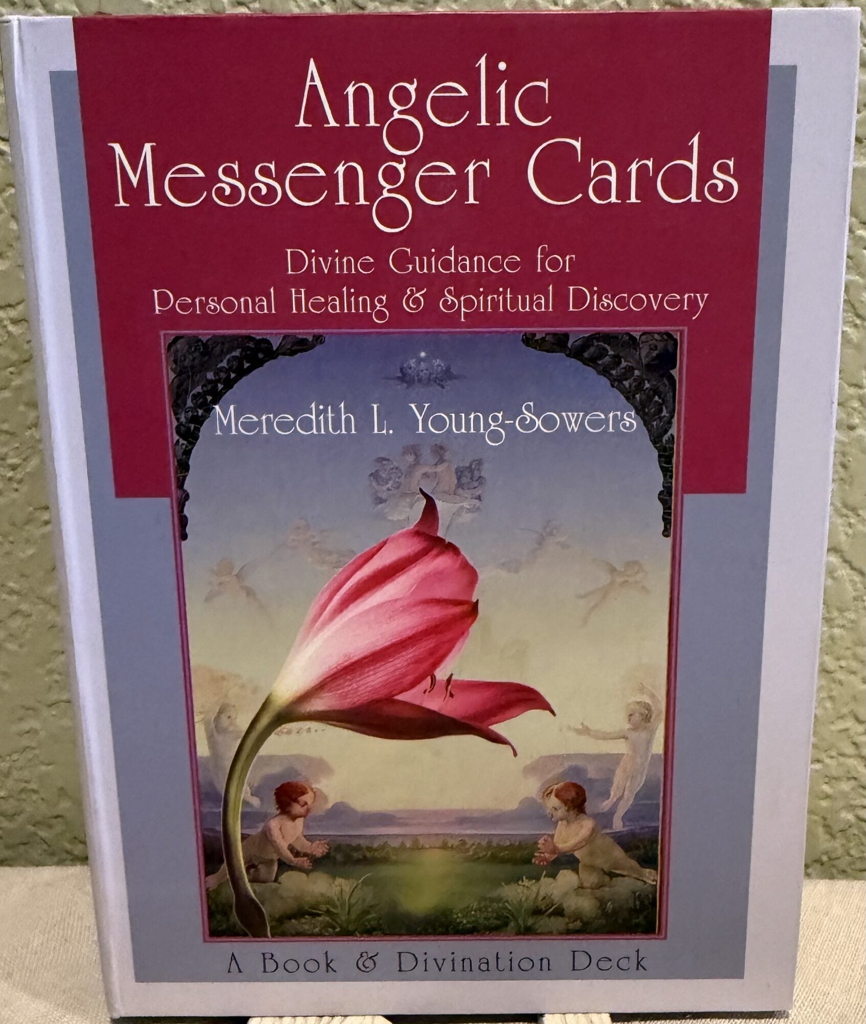 Angelic Messenger Cards: Divine Guidance for Personal Healing and Spiritual Discovery, A Book and. Meredith L. Young-Sowers.