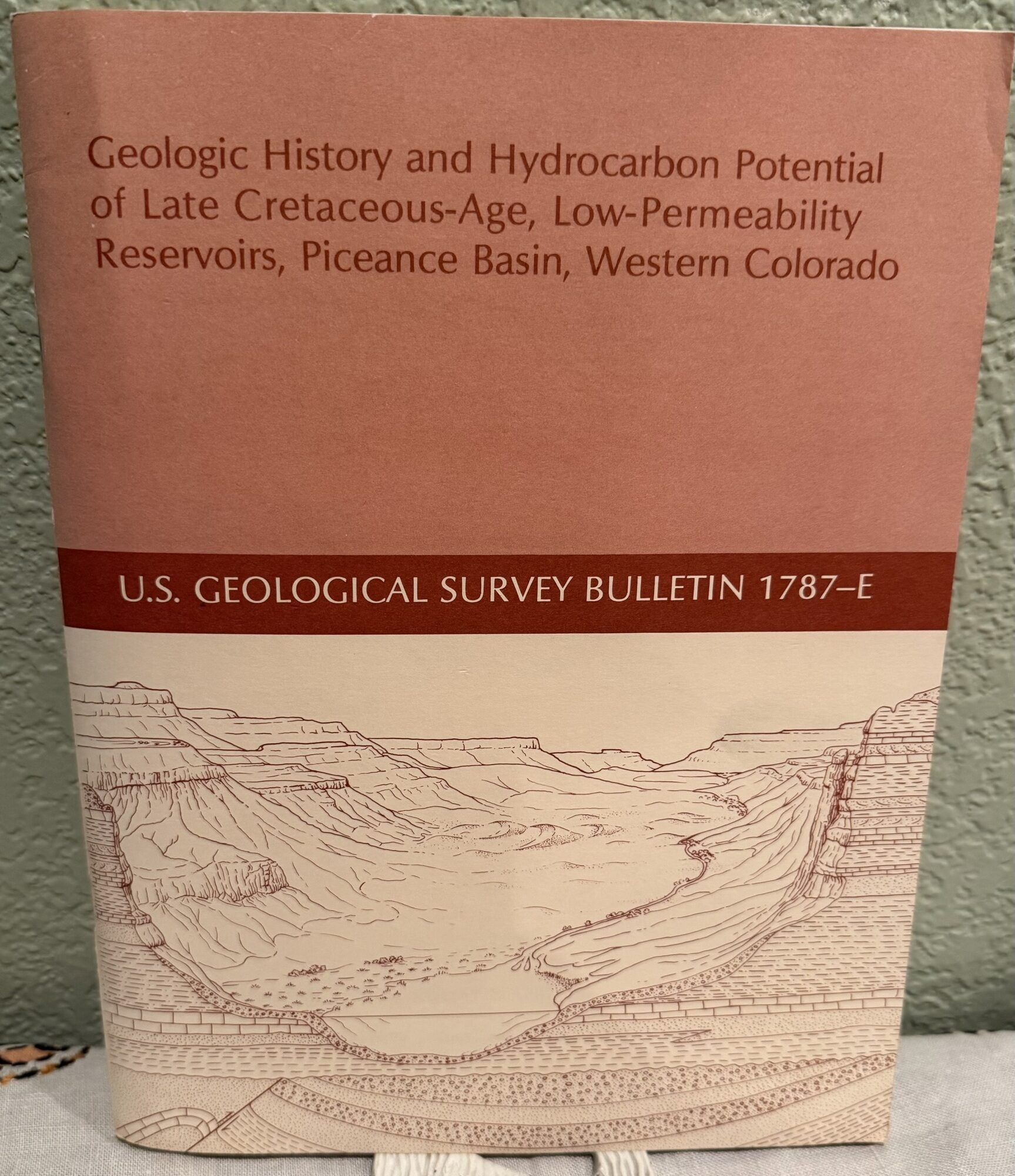 Geologic History and Hydrocarbon Potential of Late Cretaceous-Age, Low-Permeability Reservoirs, Ronald C. Johnson.