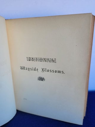 A Treatise on the Physiology of the Earth or, The Origins, Growth and Decay of the Earth